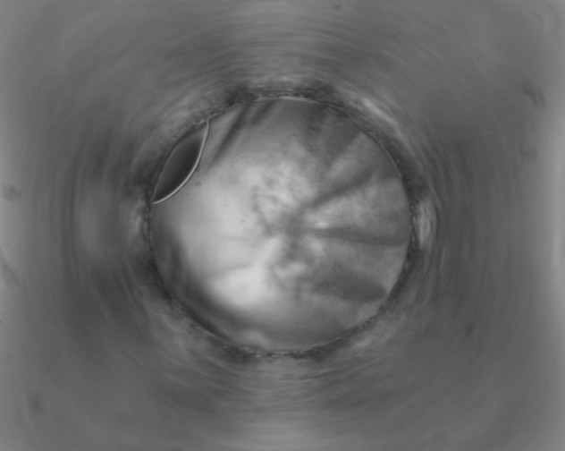 X0000090631059200708071241