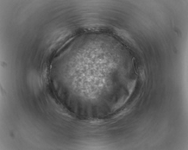 X0000090631060200708071241