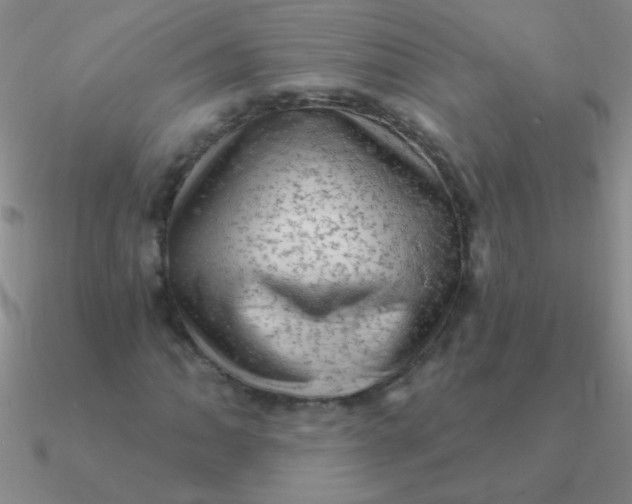 X0000090631062200708071241