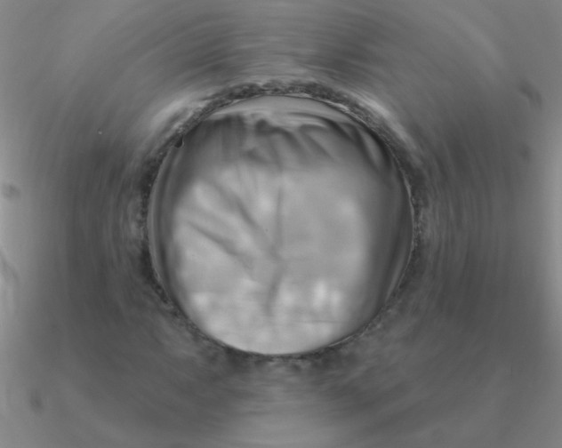 X0000090631063200708071241