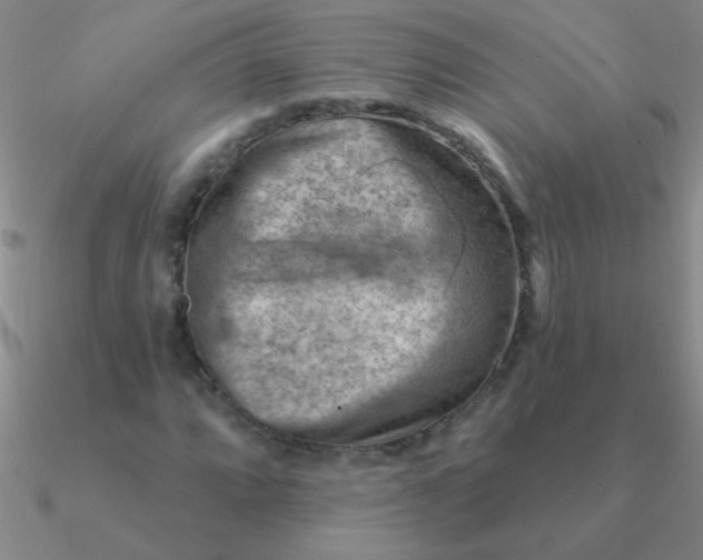 X0000090631064200708071241