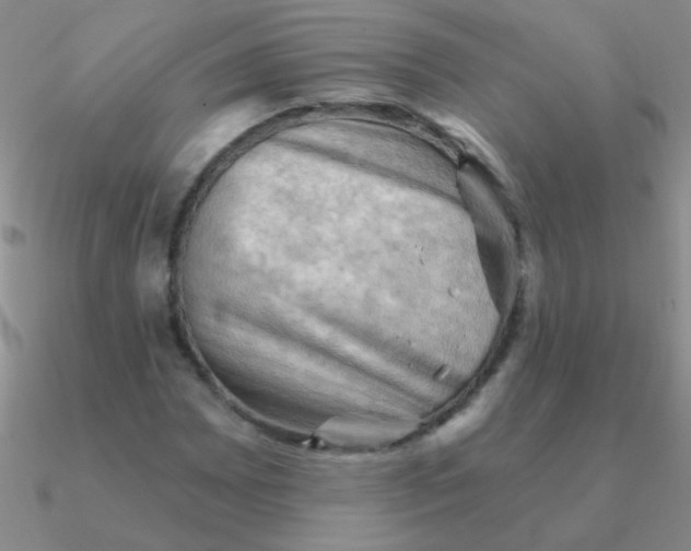 X0000090631065200708071241