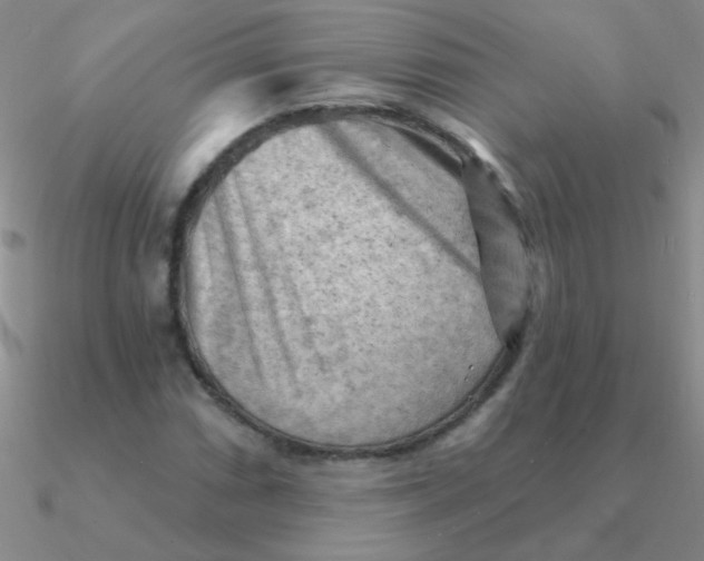 X0000090631066200708071241