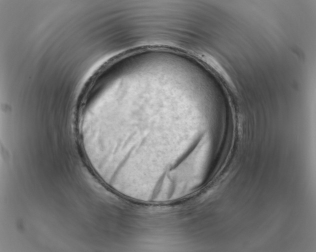 X0000090631068200708071241