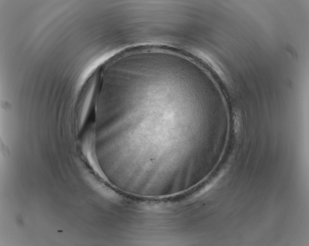 X0000090631069200708071241