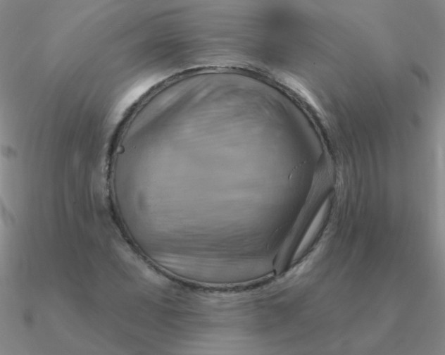 X0000090631071200708071241