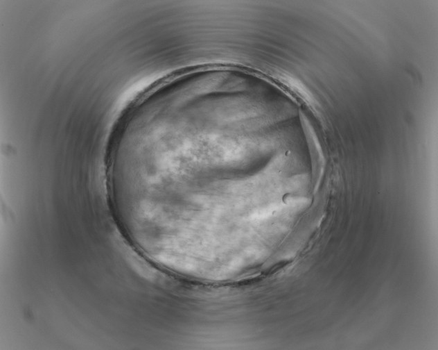 X0000090631072200708071241