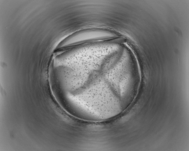 X0000090631073200708071241