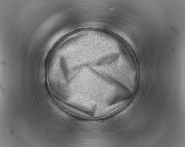 X0000090631075200708071241