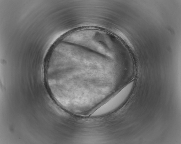 X0000090631076200708071241