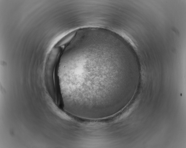 X0000090631077200708071241