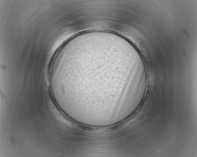 X0000090631078200708071241