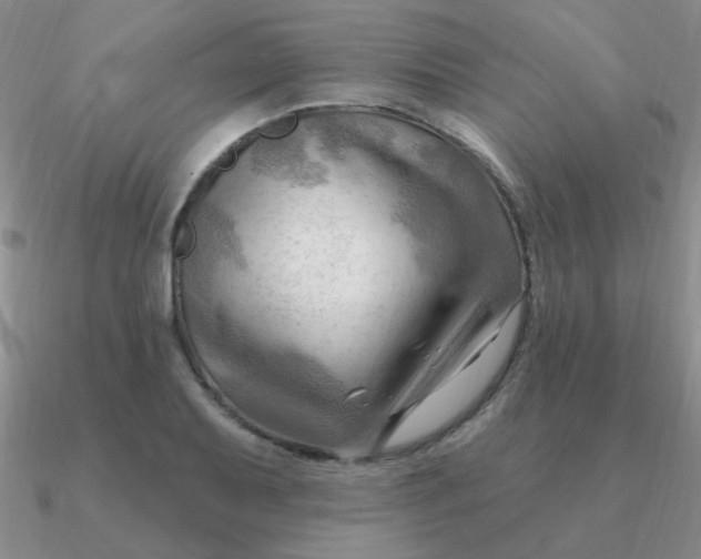 X0000090631079200708071241