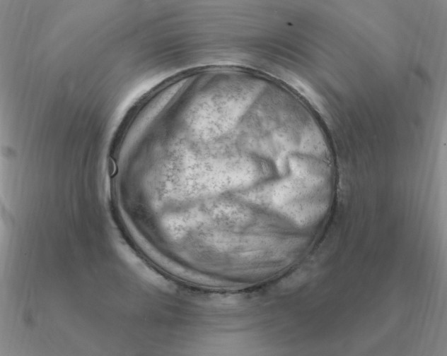 X0000090631080200708071241