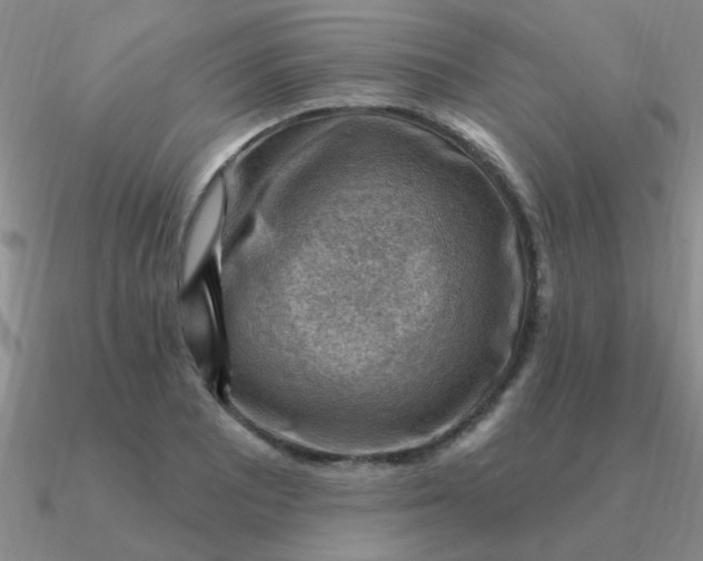 X0000090631081200708071241