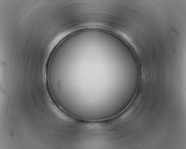 X0000090631082200708071241