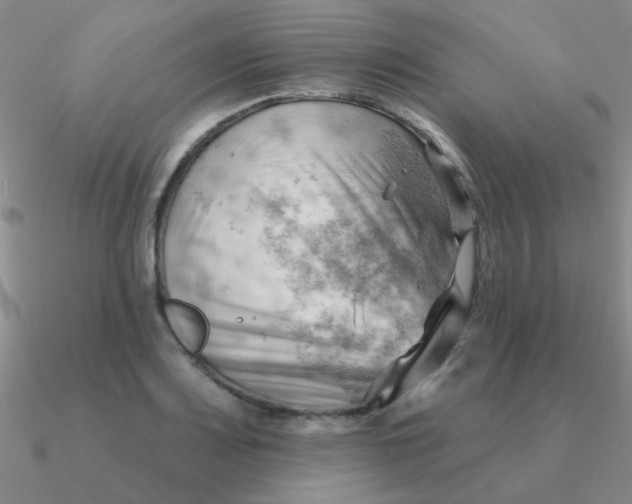 X0000090631083200708071241