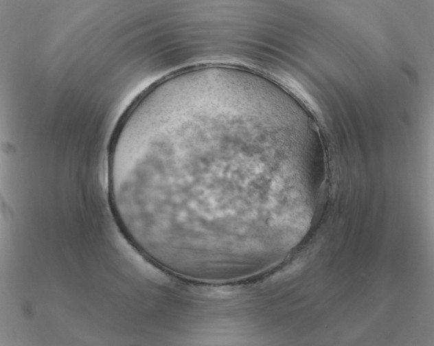 X0000090631084200708071241