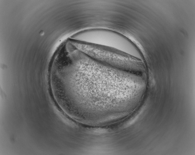 X0000090631085200708071241