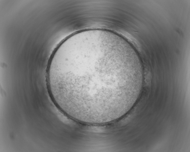 X0000090631086200708071241