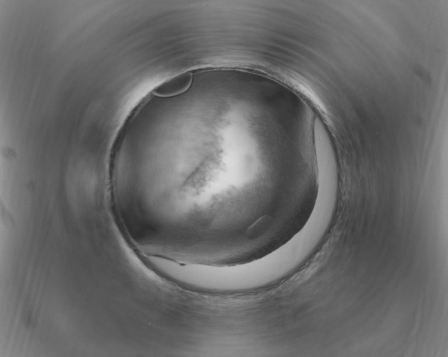 X0000090631087200708071241