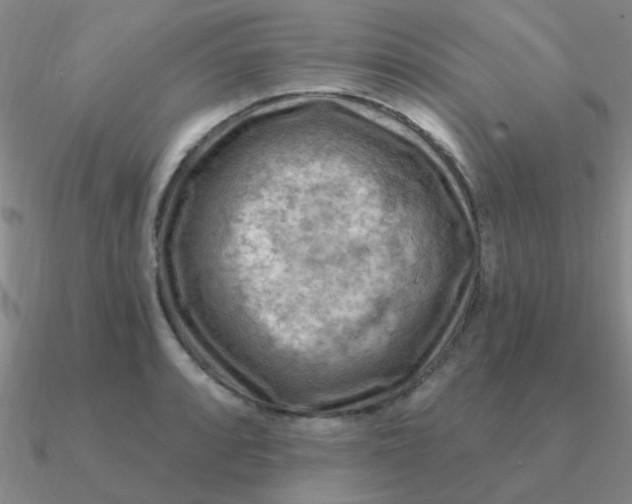 X0000090631088200708071241