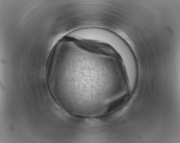 X0000090631089200708071241