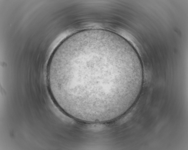 X0000090631090200708071241