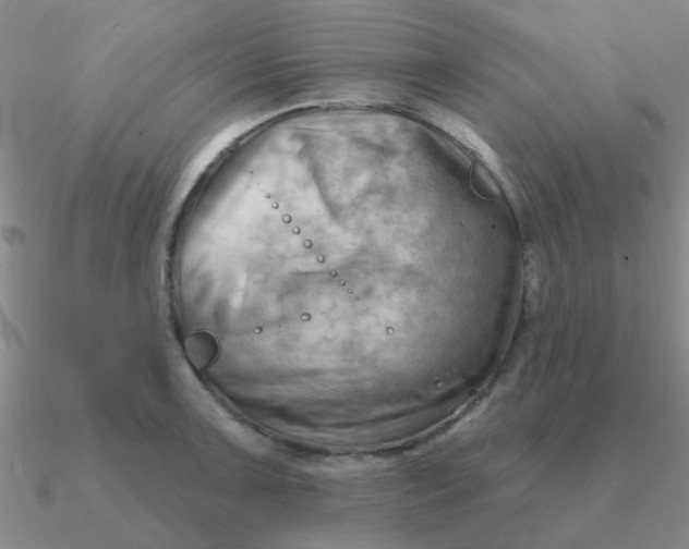 X0000090631091200708071241