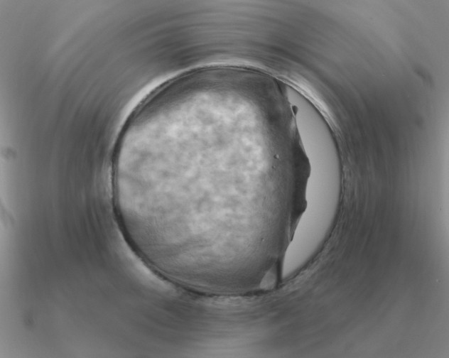 X0000090631092200708071241