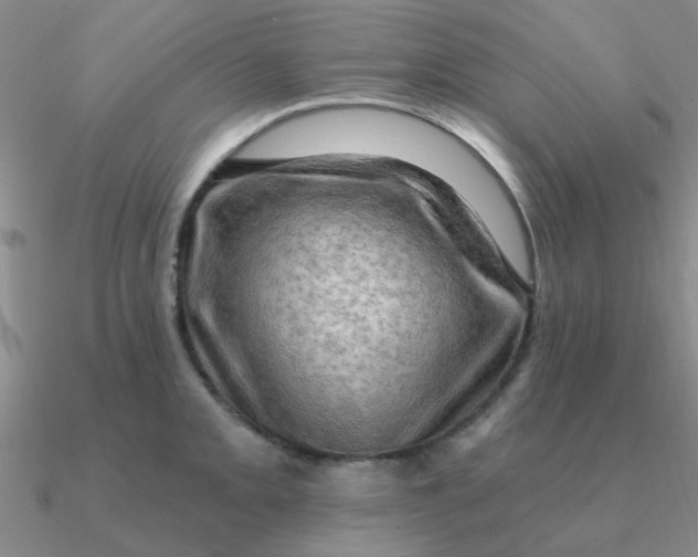 X0000090631093200708071240