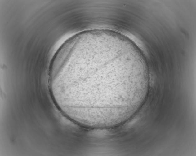 X0000090631094200708071240