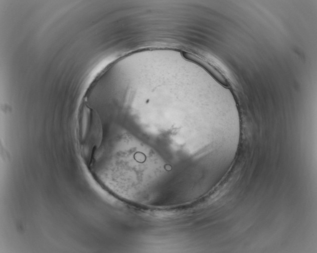 X0000090631095200708071240