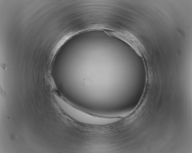 X0000090631097200708071240