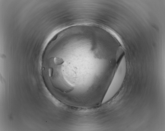 X0000090631099200708071240