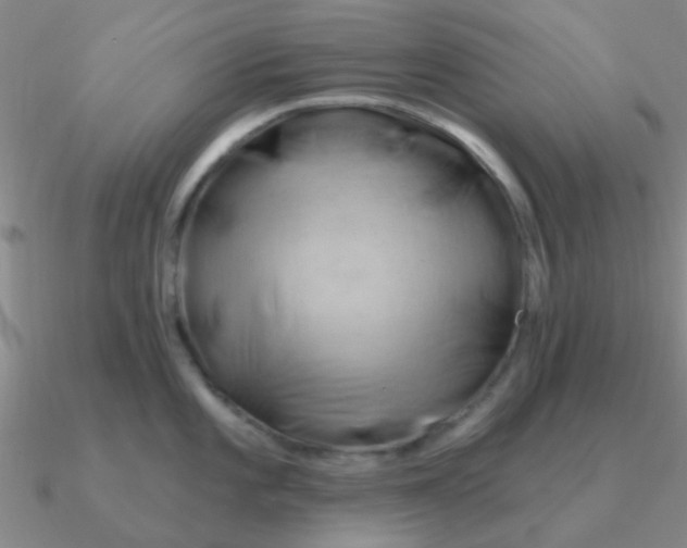 X0000090631101200708071240