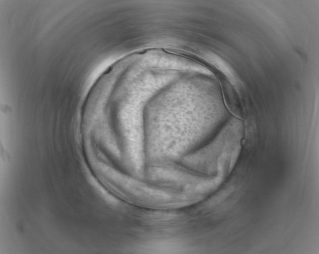 X0000090631103200708071240