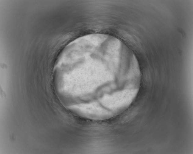 X0000090631105200708071240