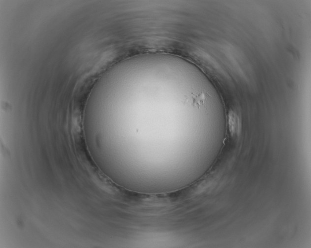 X0000090631107200708071240