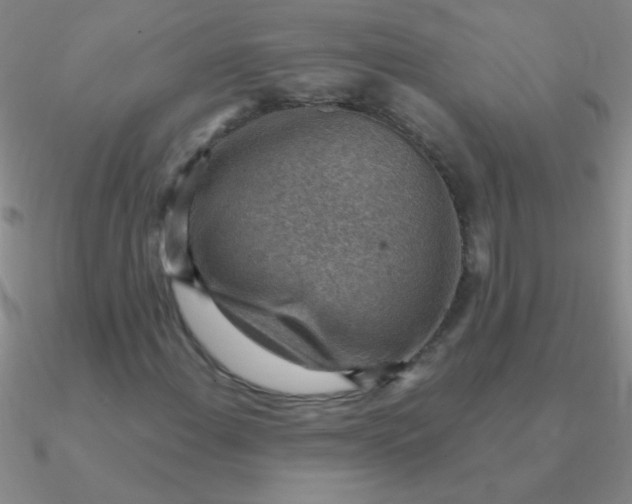 X0000090631108200708071240