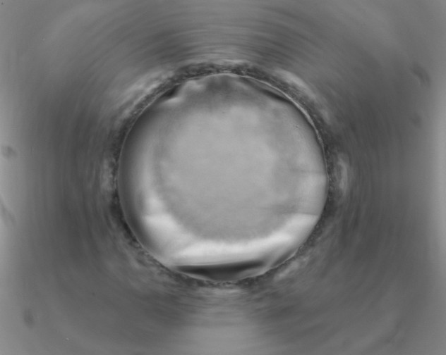 X0000090631110200708071240