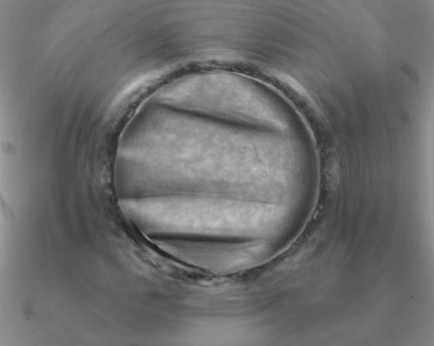 X0000090631112200708071240