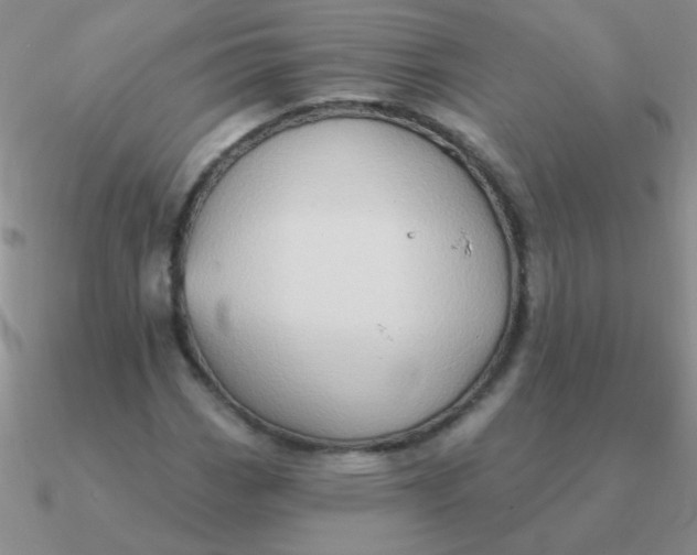 X0000090631113200708071240