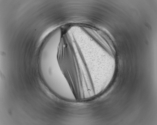 X0000090631114200708071240