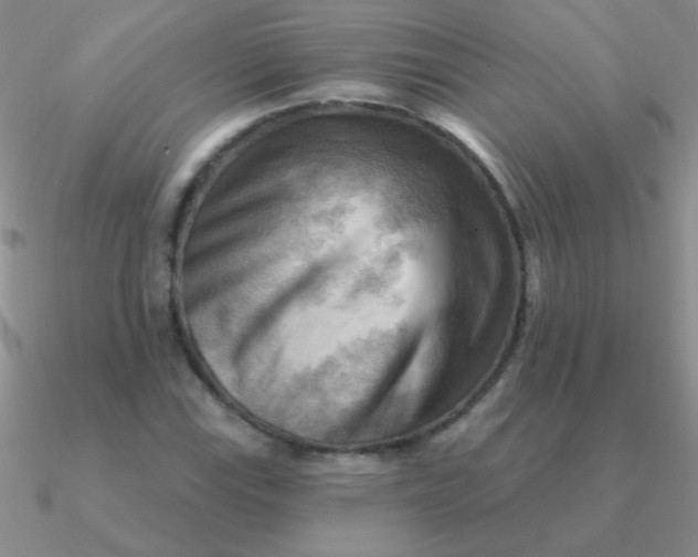 X0000090631115200708071240