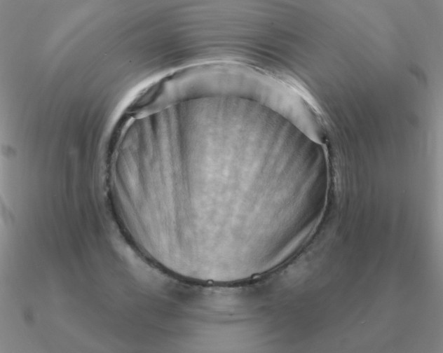 X0000090631116200708071240