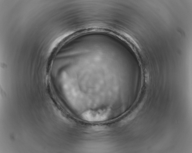 X0000090631117200708071240