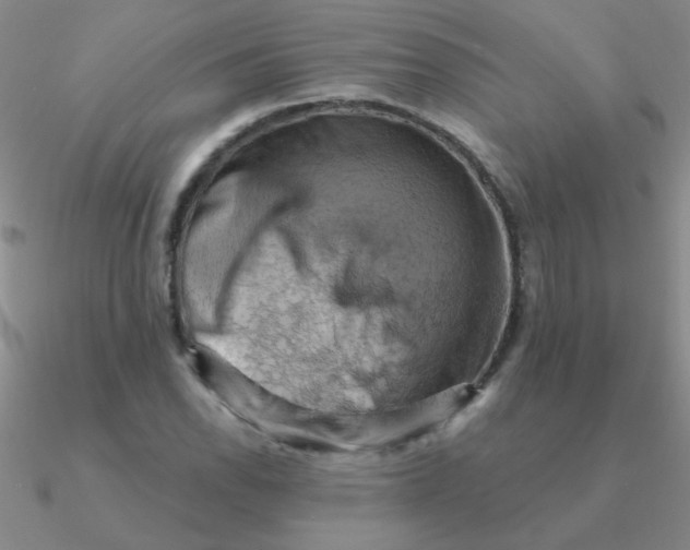 X0000090631118200708071240