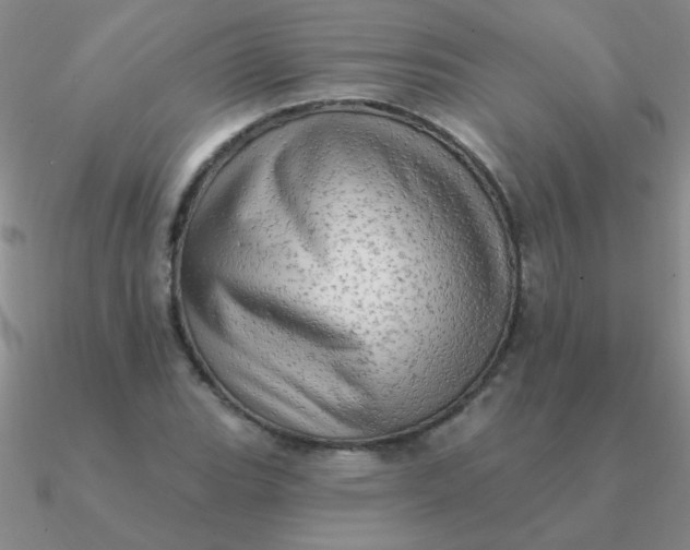 X0000090631119200708071240