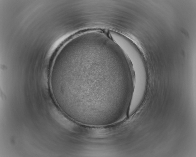 X0000090631120200708071240